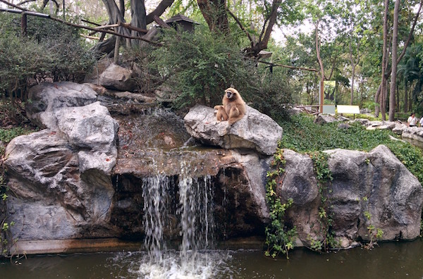 Chiang Mai Zoo